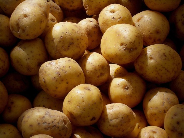 Potatoes are a good choice to buy organically, especially to eat them with skins on