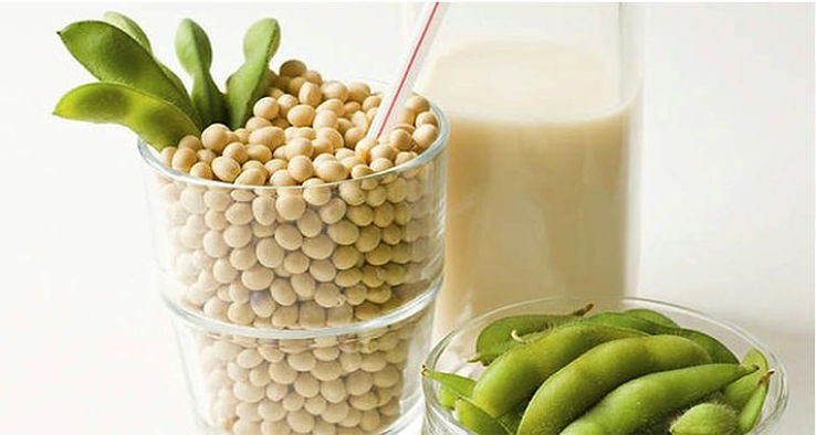 Soy milk is produced by soaking, crushing, and cooking soybeans, and then extracting the liquid. Commercial products have been grately improved the tast and quality of soy milk products