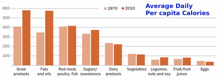 Changes in the foods contributing most to calories consumed in 1970 and now