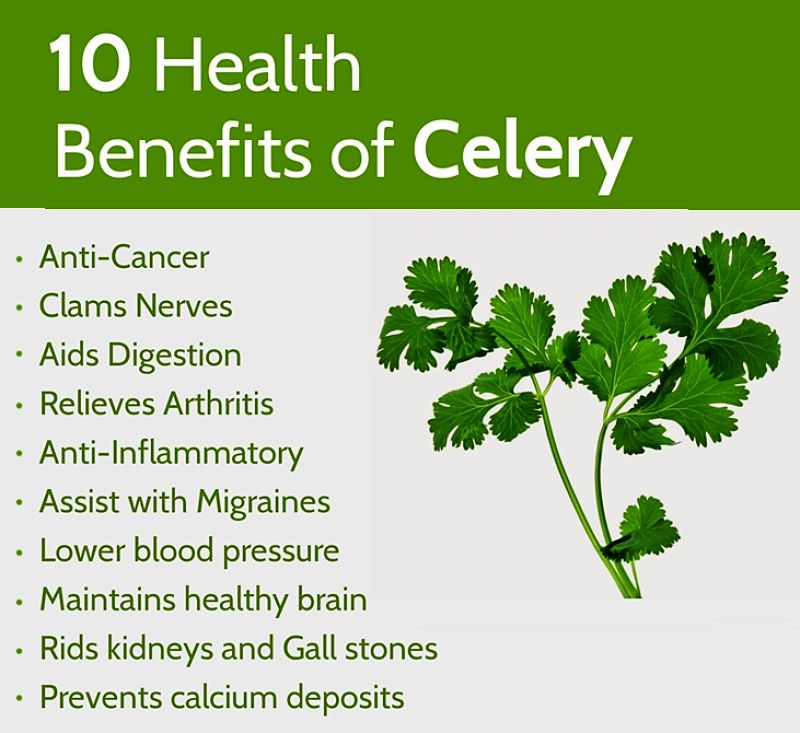 Celery has many health benefits. Here are the top 10 Benefits