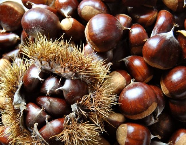 Chestnuts