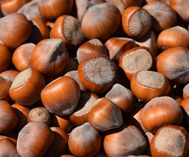 Hazelnuts