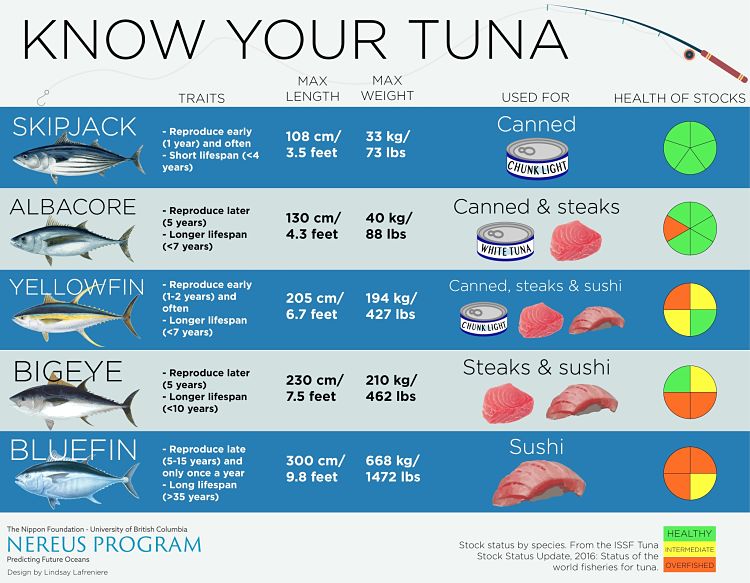 Choose the type of fish appropriate for your deignated use and recipe