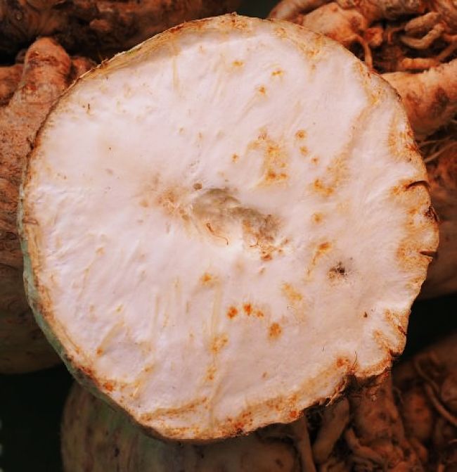 Celeriac flesh is white. Simply peel away the tough outer skin to access the flesh.