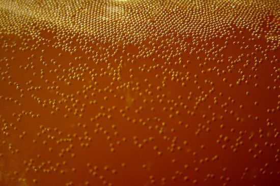 Bubbles in fermenting wine