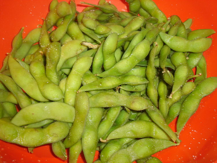 Soy beans are one of the richest sources of all 9 essential amino acids and have high protein levels per unit weight.