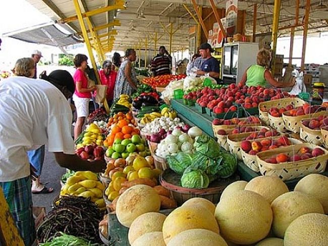 Farmers Markets are a lot of fun. Image 10