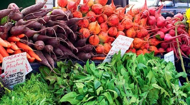 Farmers Markets are a lot of fun. Image 5