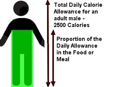 FUEL GAUGE REPRESENTATION OF CALORIE CONTENT