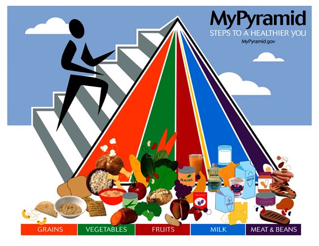 MYPYRAMID 2005