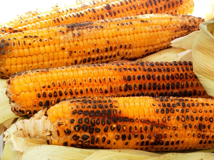 Sweet corn is delicious when grilled and barbecued 