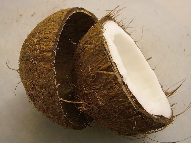 Coconuts are beautiful and nutritious
