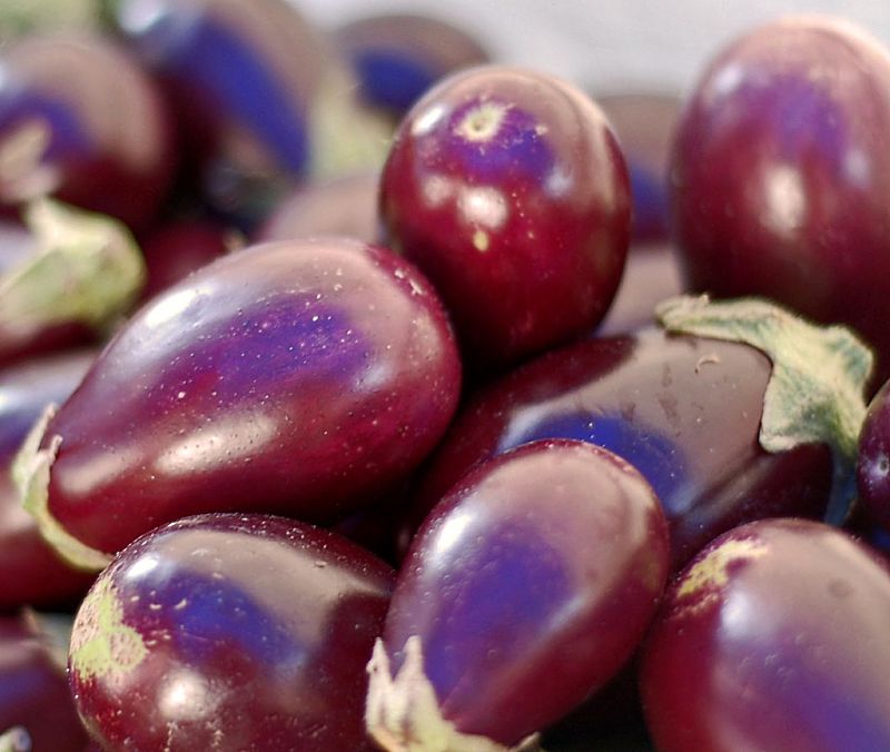 Eggplants are very versatile and have many and varied uses 