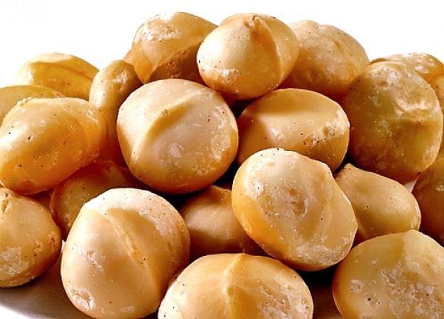 Macadamia Nuts