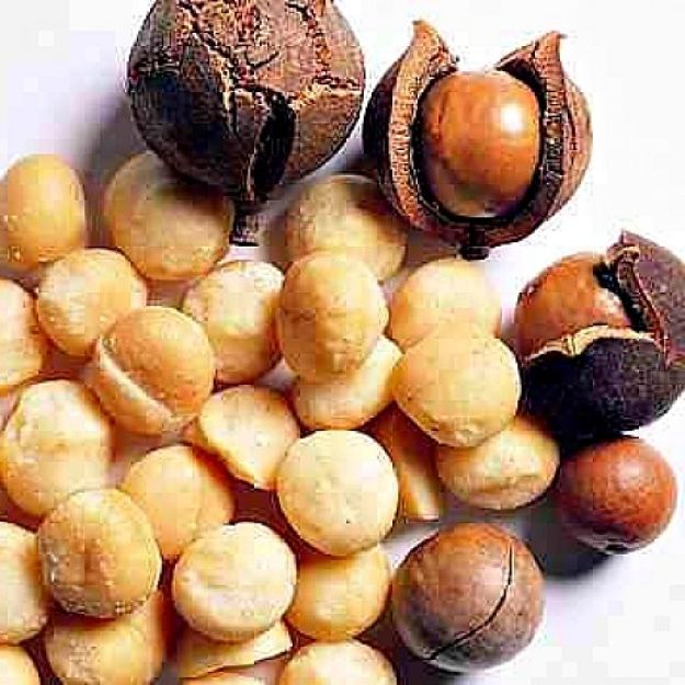 Macadamia Nuts