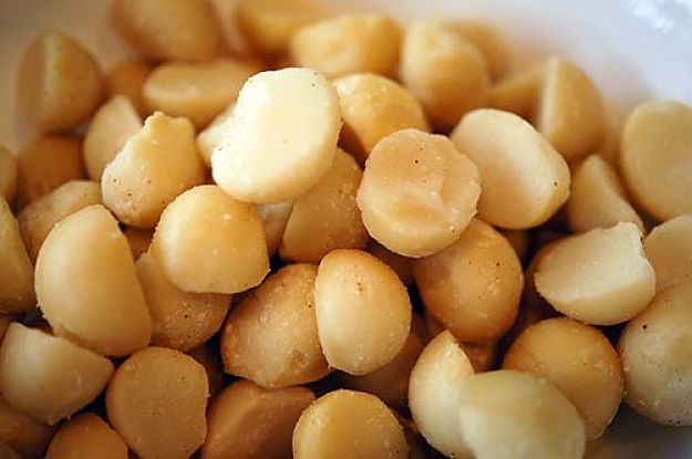 Macadamia Nuts