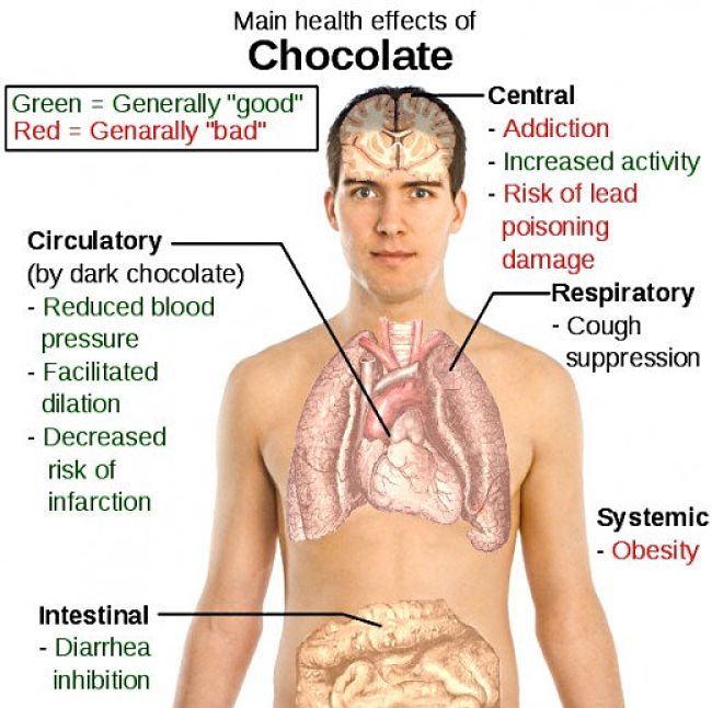The health effects of chocolate.