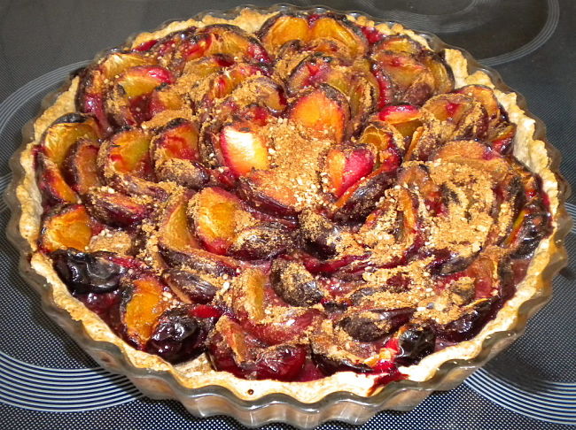 Delicious Plum Tart - Terrific