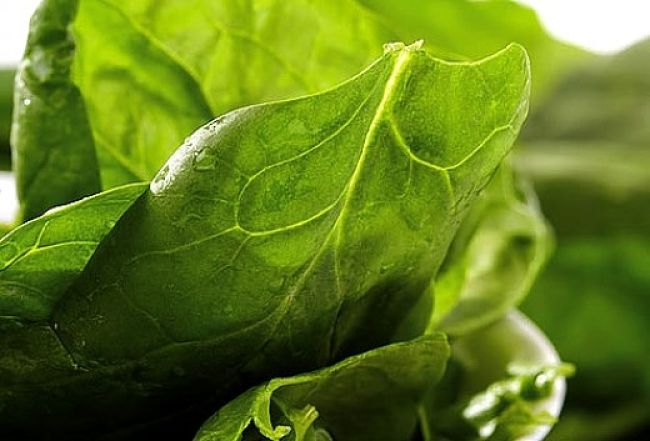 Spinach and other green vegetables are renowned for their ability yo boost immunity in children and adults