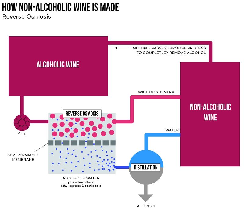 The sugars and tastes of wine originate from various distinct parts of the grape and vary with the variety