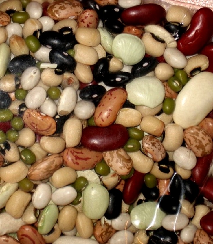 Beans, peas and pulses are rich in protein and fiber and are key components of the Mediterranean diet