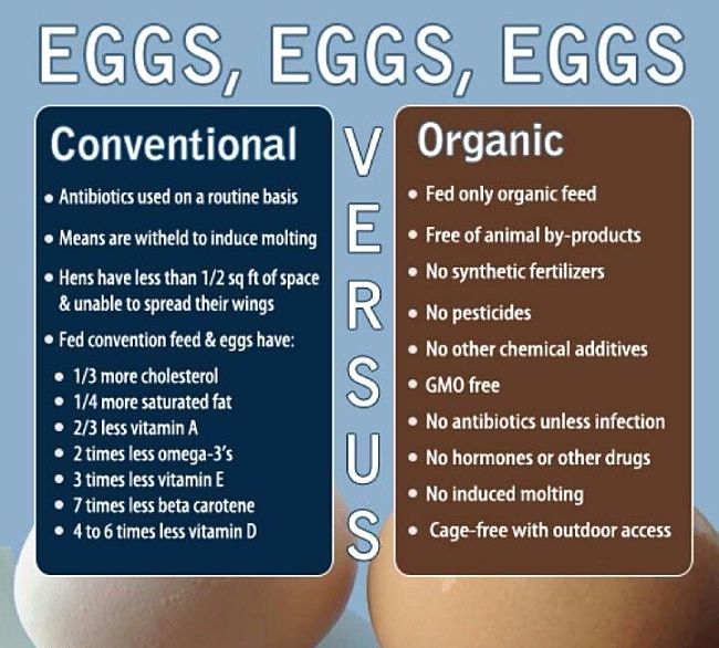 Organic versus conventional eggs