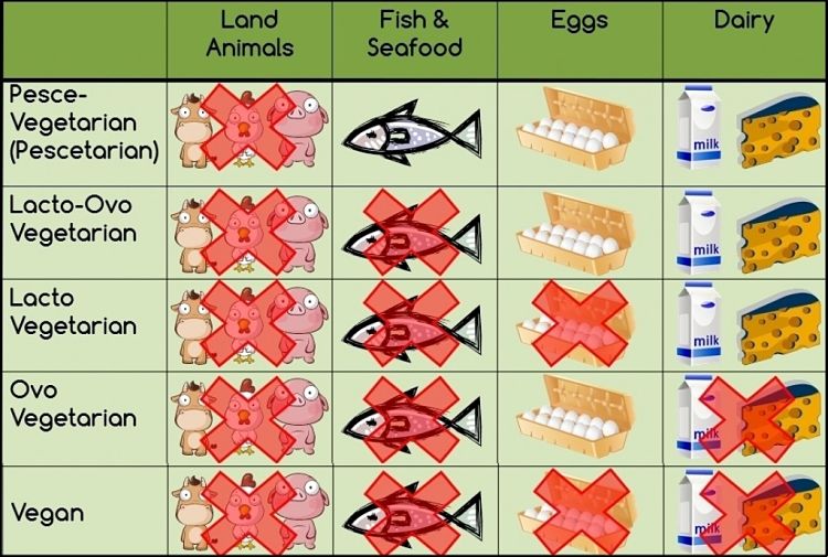 Types of Vegetarians - showing which meats, dairy and egg products are permitted.