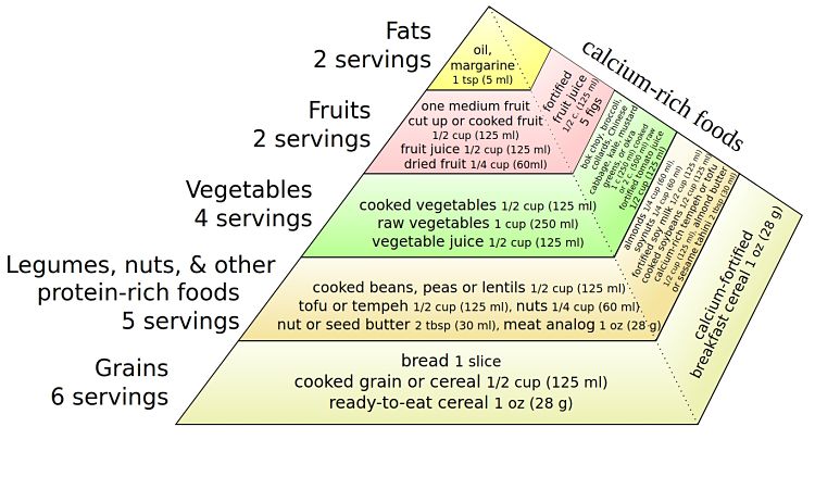 The Vegan Pyramid