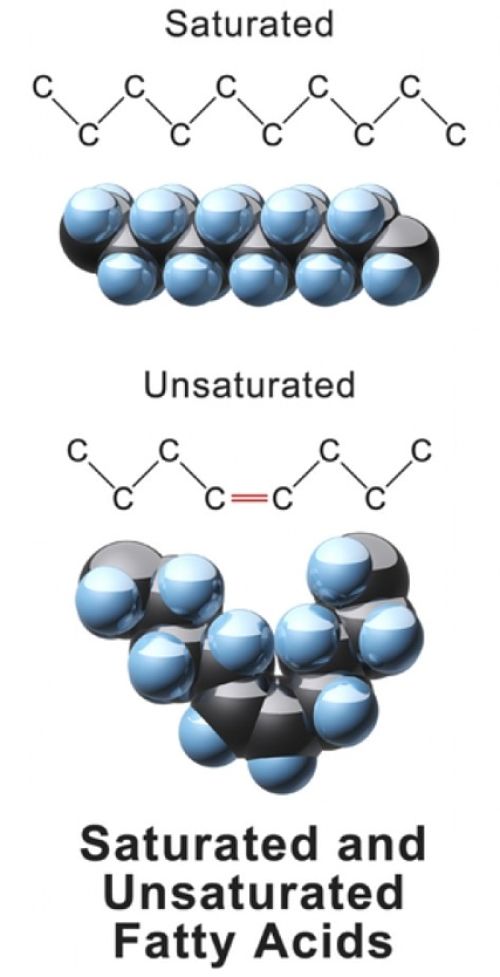 Trans fats are produced by artificially hydrogenating some of the double bonds in polyunsatuated fatty acids derived from plants 