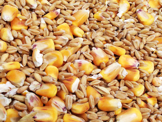 Whole grains pack their goodness in the bran and germ of the grains