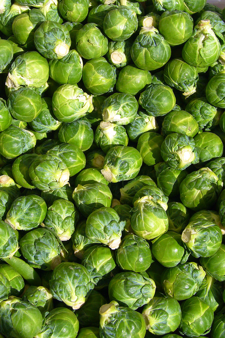 Brussel Sprouts are an excellent food for weight loss. They only have 43 Calories, 3g of protein and 4g of fiber per 100 g.